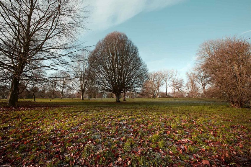 Bryanston Court_Hemel_Shaviram_HEMEL-PARK-5-LOW-RES-RGB